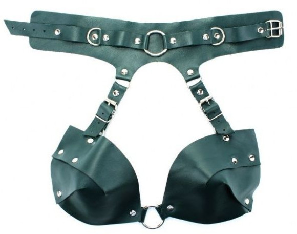 Изумрудная сбруя из ошейника с лифом Emerald Harness Изумрудная сбруя из ошейника с лифом Emerald Harness