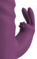 Фиолетовый вибратор-кролик 2 Function Rabbit Vibrator - 23,7 см. Фиолетовый вибратор-кролик 2 Function Rabbit Vibrator - 23,7 см.