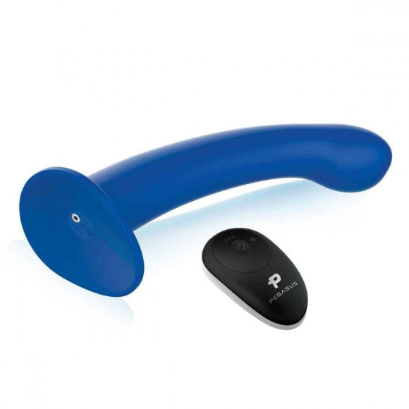 Синяя насадка Remote Control P-Spot G-Spot с черными трусиками - 20 см. Синяя насадка Remote Control P-Spot G-Spot с черными трусиками - 20 см.