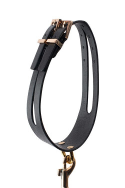 Черный ошейник PREMIUM COLLAR LEASH SET с золотистым поводком Черный ошейник PREMIUM COLLAR LEASH SET с золотистым поводком