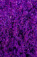 Соль Мёртвого моря для ванны Oriental Crystals «Экзотические фрукты» - 500 гр.