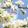 Спрей-стимулятор для женщин Lovespray Active Woman - 18 мл. Спрей-стимулятор для женщин Lovespray Active Woman - 18 мл.